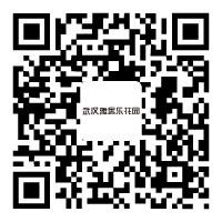 武汉从此DB视讯
